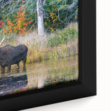 Framed canvas depicting a textured, colorful Ontario, Canada scenery in black, ideal for living room decor.