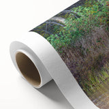 Art deco style poster of Ontario, Canada scenery on rolled canvas, featuring muted earth tones, ideal for nursery wall art.