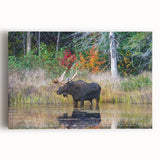 Black and white photo of Ontario scenery on large stretched canvas, suitable as kitchen wall art.