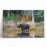 Black and white stretched canvas of Ontario scenery, ideal for kitchen wall art or bedroom ambiance.