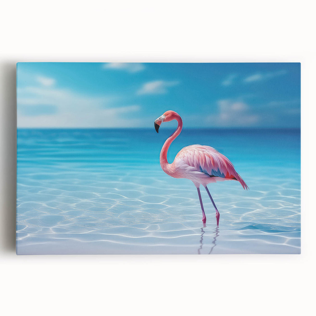 Black and white canvas print of Caribbean Aruba scenery, ideal for kitchen wall art or bedroom ambiance.