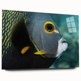 Large abstract wall art of a Caribbean scenery on acrylic glass, ideal for bedroom or dining room decor.