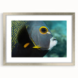 Extra large abstract art print of a Caribbean scene in muted blue and green tones, framed in silver.