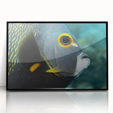 Large abstract wall art depicting a vibrant Caribbean scene in mid-century modernist style, framed in black acrylic.