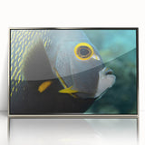 Framed acrylic print of a Caribbean Puerto Rican scenery in vibrant colors, ideal for modern art wall decor.