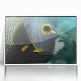 Framed acrylic print of Caribbean Puerto Rico scenery in mid-century modernist style, featuring muted blues and greens.