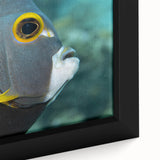 Black wall art featuring a textured, colorful Caribbean scenery on a framed canvas, ideal for living room decor.