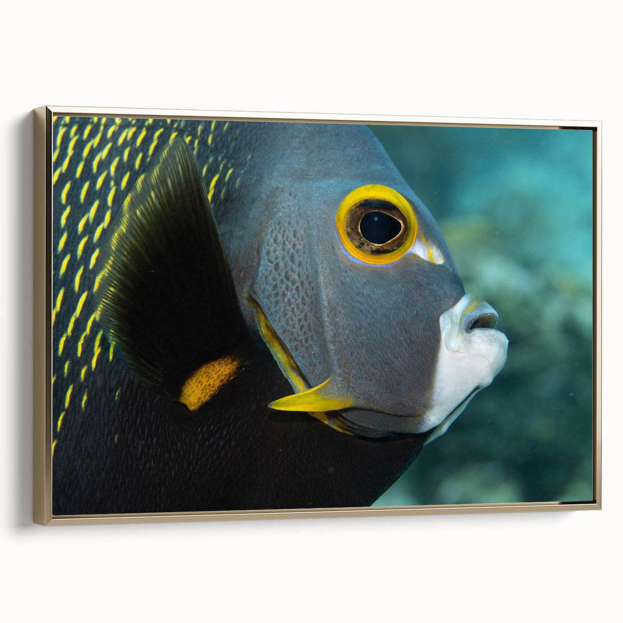 Framed canvas featuring a vintage-style landscape painting of the Caribbean with gold and black tones.