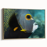 Framed canvas featuring a vintage-style landscape painting of the Caribbean with gold and black tones.