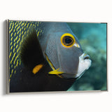 Framed canvas featuring a vintage-style Puerto Rican landscape with vibrant, colorful art and black accents.