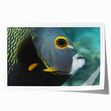 Extra large rolled print of a Caribbean landscape with vibrant green and blue hues, ideal for art wall dining room.