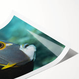 Extra large rolled print featuring line art flowers in soft pastel shades, ideal for large living room wall art.