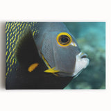 Black and white stretched canvas featuring a scenic Caribbean beach, ideal for kitchen wall art or bedroom ambiance.