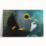 Large black and white photo of Puerto Rican scenery on stretched canvas, ideal for kitchen wall art.