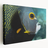 Caribbean shoreline depicted in vibrant blues and greens on a large stretched canvas, suitable for kitchen wall art.