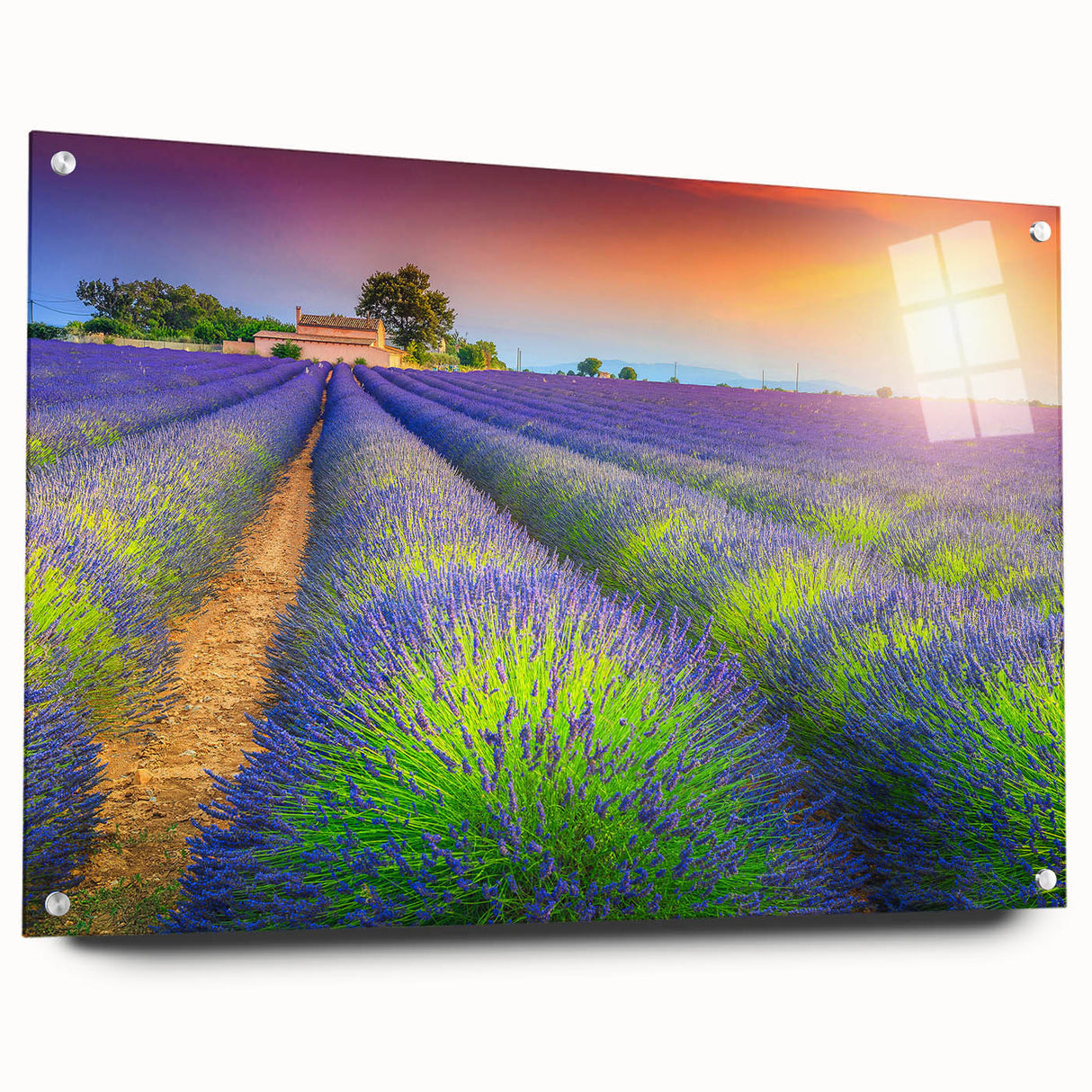 Acrylic print of a Provence landscape in muted earth tones, ideal for dining room art.
