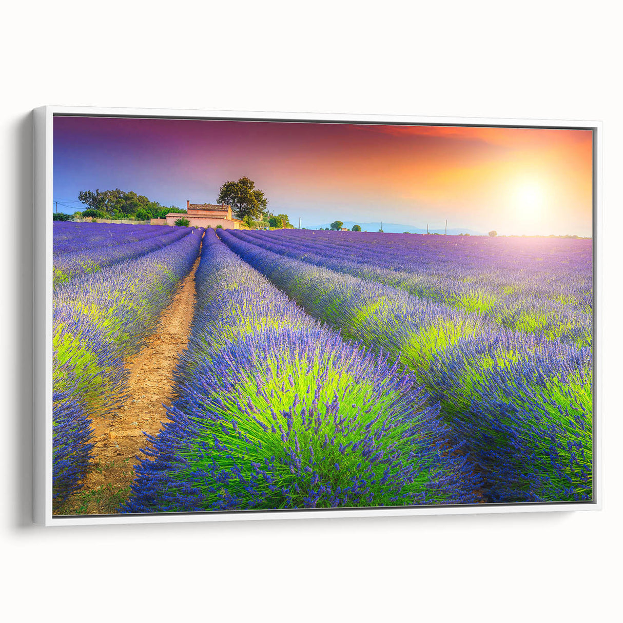 Vintage poster art of a Provence landscape on framed canvas.