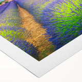 Art deco poster of Provence landscape in muted earth tones on rolled canvas, suitable for dining room or bathroom.