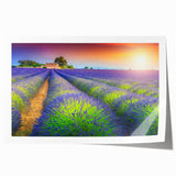 Extra large rolled print featuring a scenic Provence landscape with vibrant floral elements, ideal for dining room wall art.