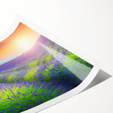 Extra large wall art featuring line art flowers in soft pastel shades on a rolled print, ideal for large living room decor.