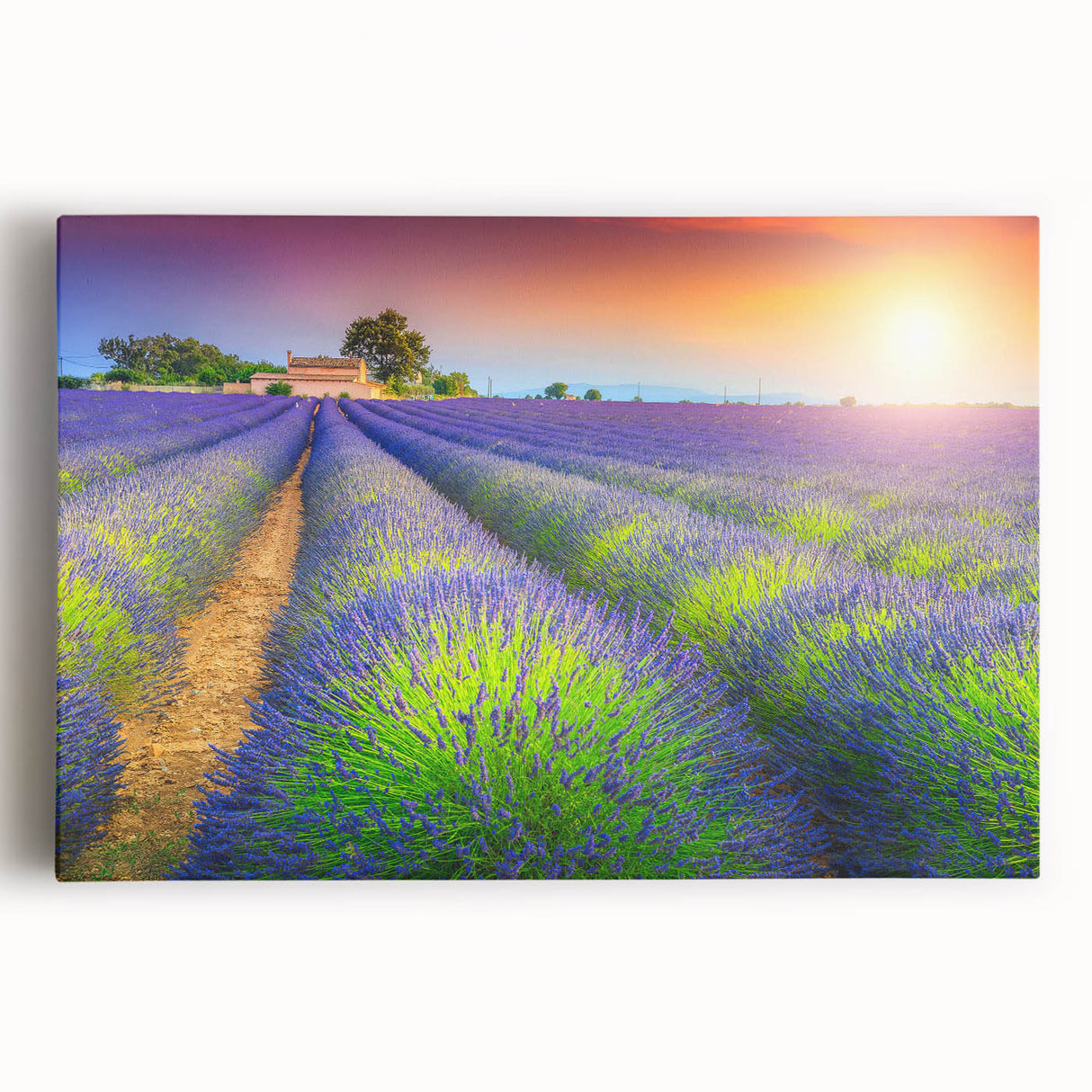 Black and white stretched canvas depicting a serene Provence landscape, ideal for kitchen wall art.
