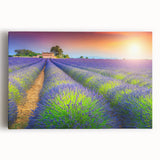 Black and white stretched canvas depicting a serene Provence landscape, ideal for kitchen wall art.