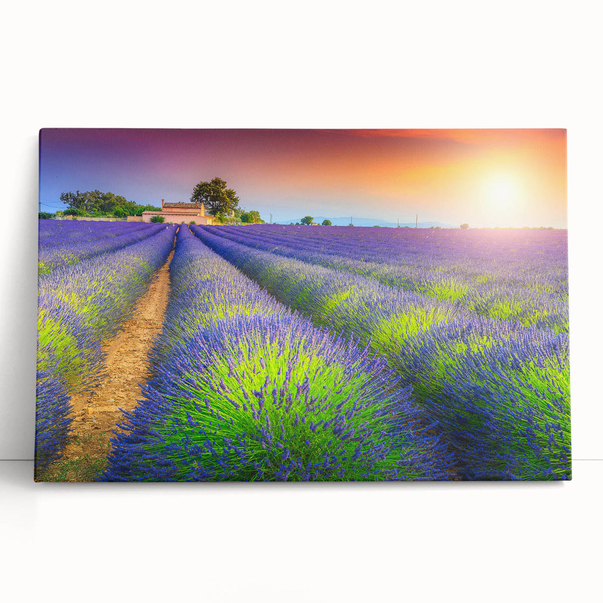 Large black and white canvas print of a scenic Provence landscape, ideal for kitchen wall art.