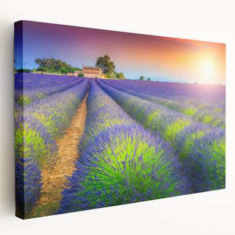 Large canvas print of a Provencal landscape with lavender fields and a sunset, suited for kitchen wall art.