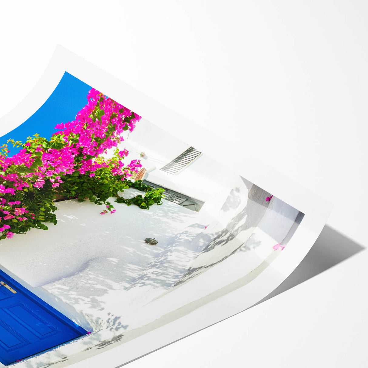 Extra large rolled print featuring a line art drawing of flowers, using soft pastel shades.