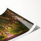 Extra large wall art featuring line art flowers in muted green and white tones on a rolled print.