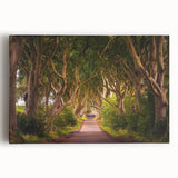 Black and white stretched canvas featuring a serene Irish landscape, ideal for kitchen wall art or bedroom ambiance.