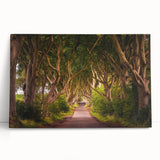 Large black and white stretched canvas of a scenic Irish landscape, ideal for kitchen wall art.