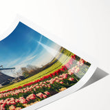 Extra large wall art featuring line art flowers in soft pastel shades on a rolled canvas.