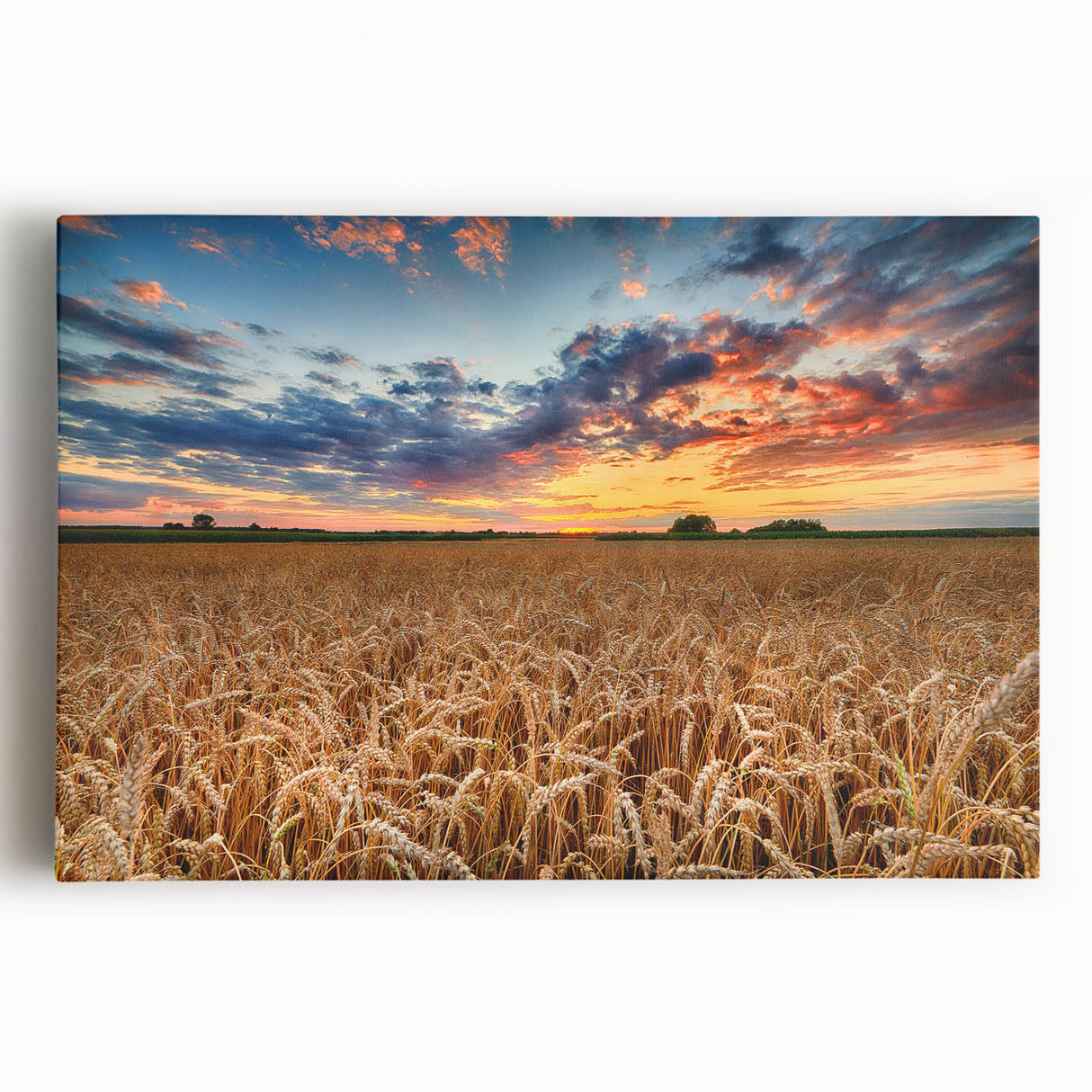 Black and white stretched canvas featuring a panoramic view of a European cityscape, ideal for kitchen wall art.