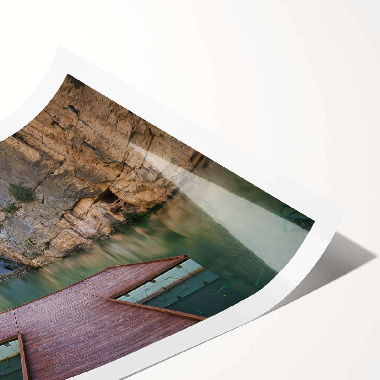 Extra large rolled print featuring line art flowers in a Valencia scenery, ideal for large living room wall art.