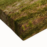 Large art of a black and white landscape painting on stretched canvas, depicting a serene Ukrainian scenery.