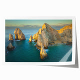 Extra large floral art of Baja California scenery on rolled print, suitable for dining room or bathroom.