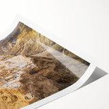 Extra large wall art featuring line art flowers in soft pastel shades on a rolled canvas.