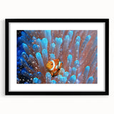 Extra large abstract art print of vibrant Oceania Fiji scenery on textured canvas, framed in black.