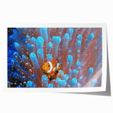 Extra large rolled print of a serene Fiji oceanscape with vibrant blues and greens, ideal for dining room wall art.