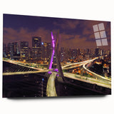 Large abstract depiction of a Brazilian landscape in muted earth tones on acrylic glass.