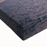 Large art of a black and white landscape painting of Galápagos on stretched canvas, ideal for bedroom wall decor.