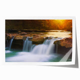 Rolled print of Arkansas scenery featuring muted earth tones and floral elements, ideal for art wall dining room.