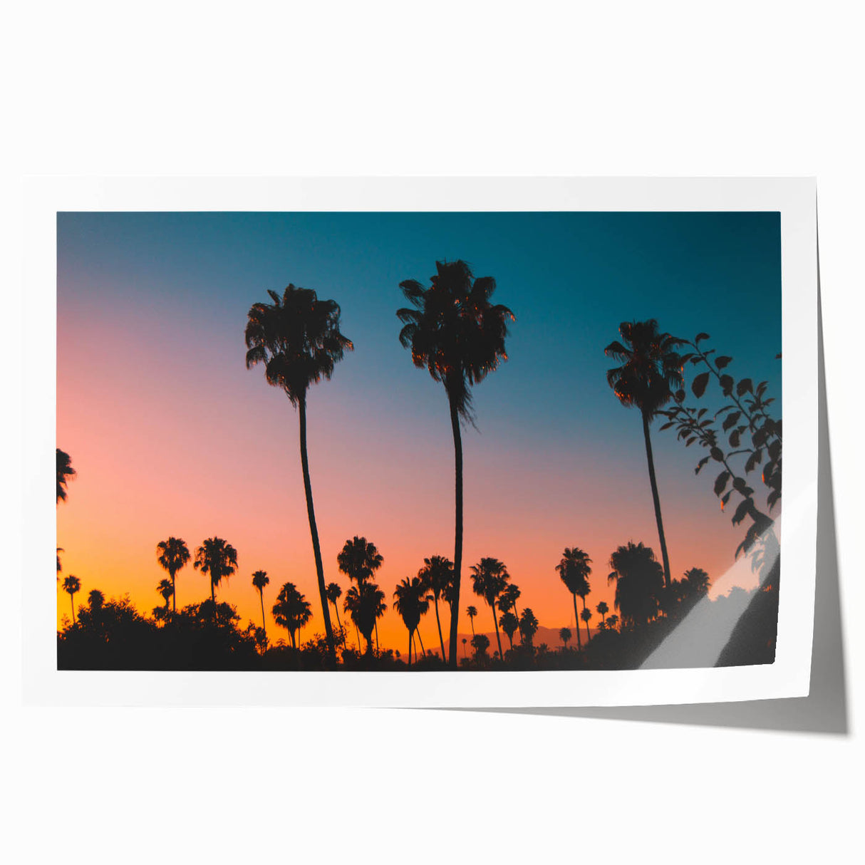 Extra large rolled print of Los Angeles scenery with muted floral art, ideal for art wall dining room.