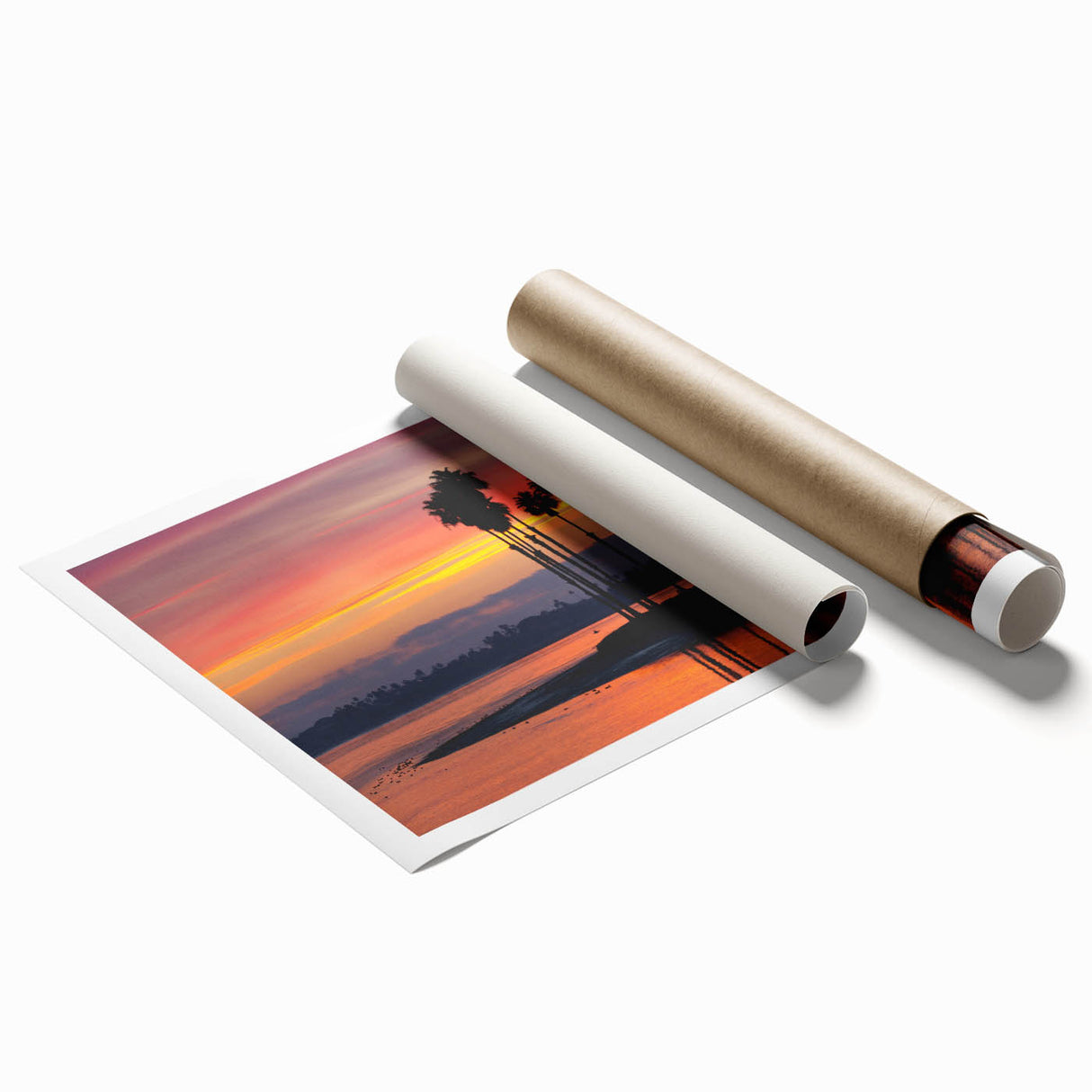 Extra large rolled print of San Diego scenery with vibrant floral elements, ideal for classy bathroom wall art.