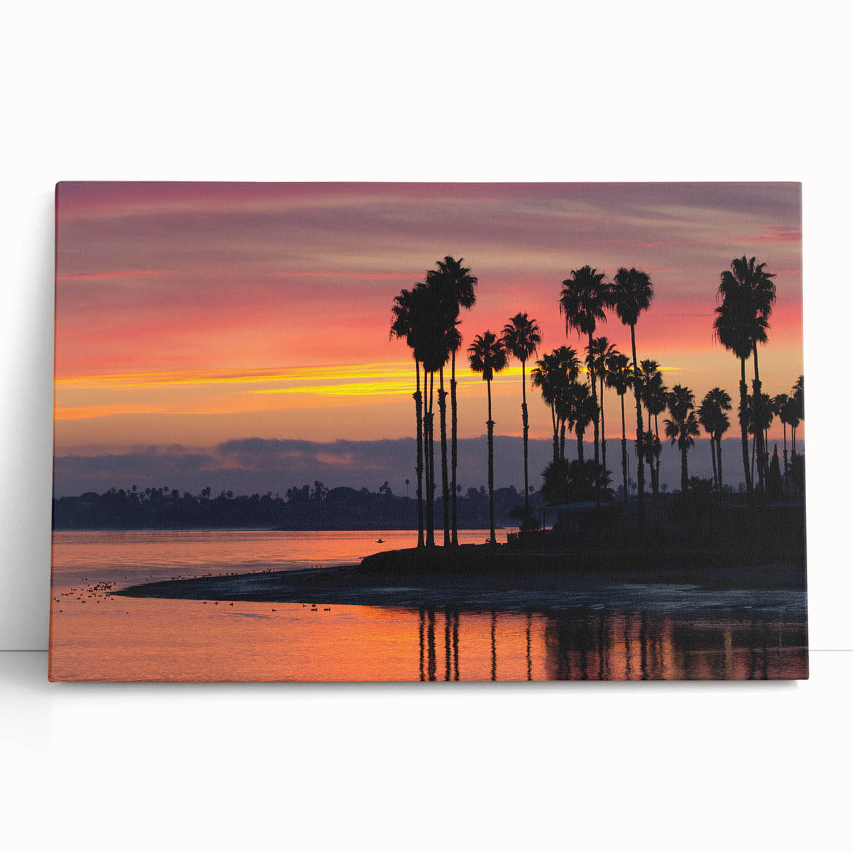 Large black and white stretched canvas of San Diego scenery, ideal for kitchen wall art or bedroom ambiance.
