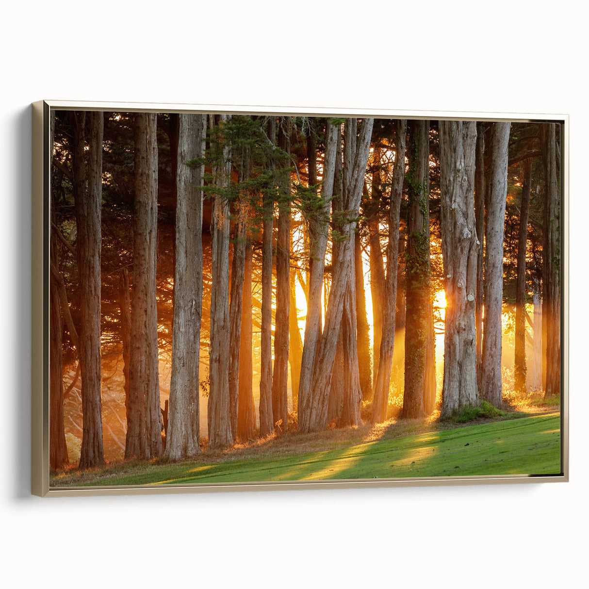 Framed canvas featuring a vintage-style black and gold landscape painting of the San Francisco skyline.