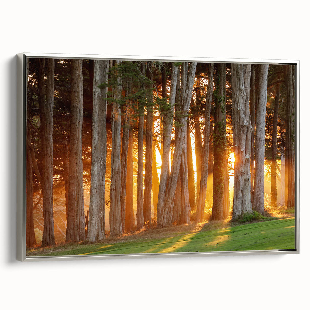Framed canvas landscape art painting of San Francisco in colorful and black vintage poster style, ideal for office decor.