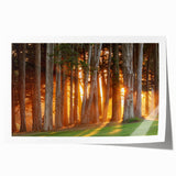 Extra large rolled print of San Francisco scenery, featuring pastel shades, ideal for art wall dining room.