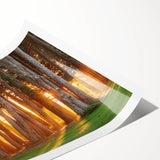 Extra large rolled print featuring line art flowers over a San Francisco scenery, in soft pastel shades.